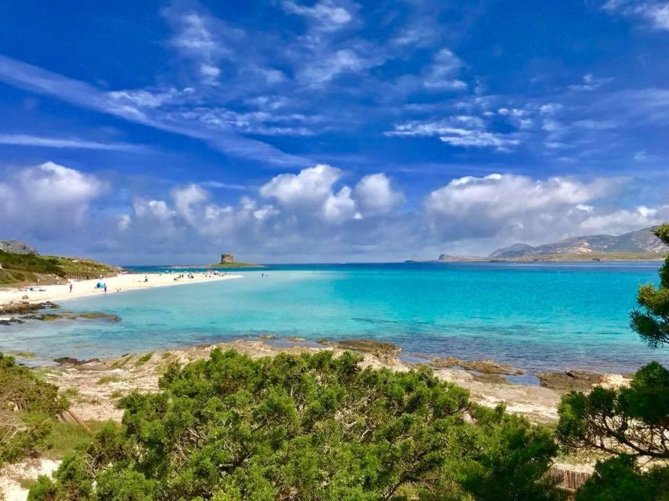 Casa A Schiera Le Tonnare - Affitti Brevi Italia Διαμέρισμα Stintino Εξωτερικό φωτογραφία